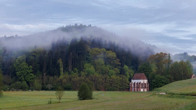 Nebelschwaden liegen über den Bäumen auf dem Allmendsberg.